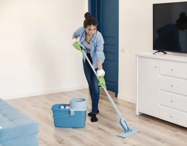 Femme de ménage Diarville